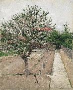 Gustave Caillebotte Apple Tree in Bloom oil painting artist